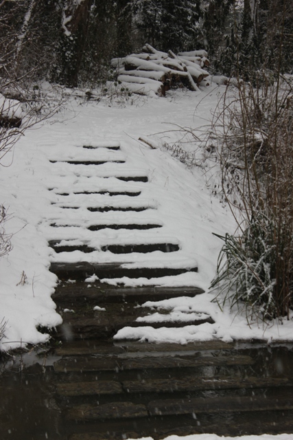 Hiver 2013 - Sous la neige